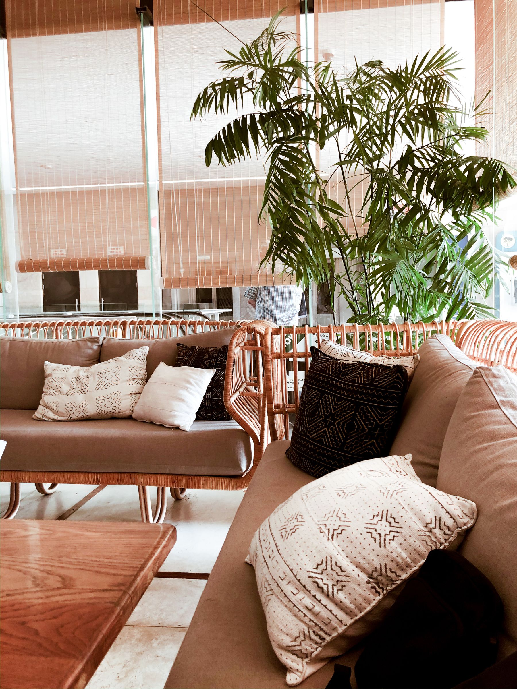 Salon avec plantes, rotin et coussins moelleux